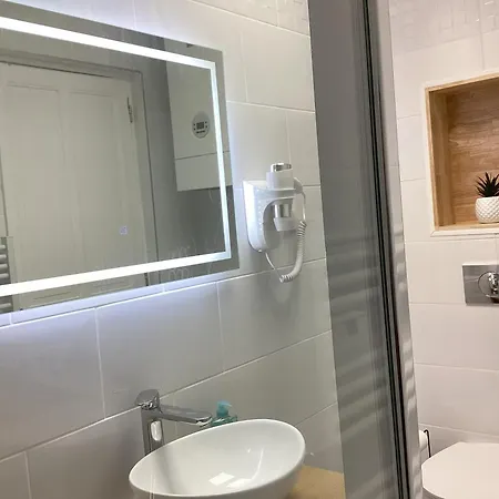 Somea 110m2 Climatise, Parking, Proche Sanctuaire Appartement Lourdes