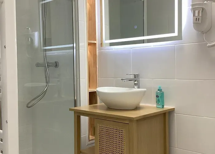 Somea 110m2 Climatise, Parking, Proche Sanctuaire Lourdes